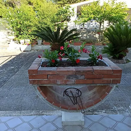 Villa Casa Dei Nonni By Briciole Di Gusto - 3000mq Di Relax In Giardino A 1500m Dal Mare *