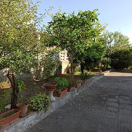 Casa Dei Nonni By Briciole Di Gusto - 3000mq Di Relax In Giardino A 1500m Dal Mare *