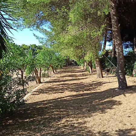 Casa Dei Nonni By Briciole Di Gusto - 3000mq Di Relax In Giardino A 1500m Dal Mare * Torre Chianca