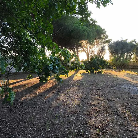 Casa Dei Nonni By Briciole Di Gusto - 3000mq Di Relax In Giardino A 1500m Dal Mare *